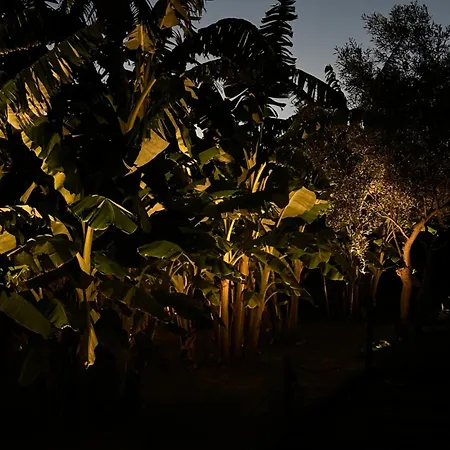 Nafplio Lodge * ナフプリオ