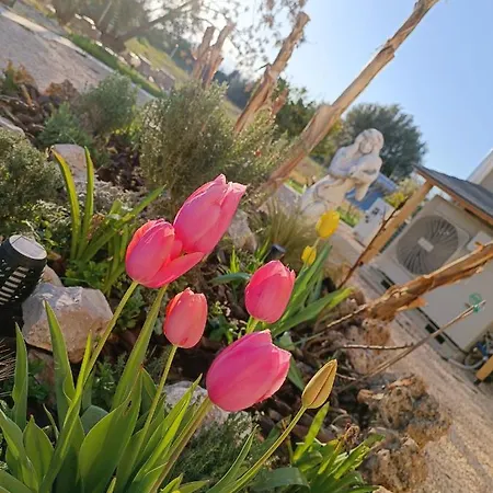 Villa Nafplio Lodge Nauplion