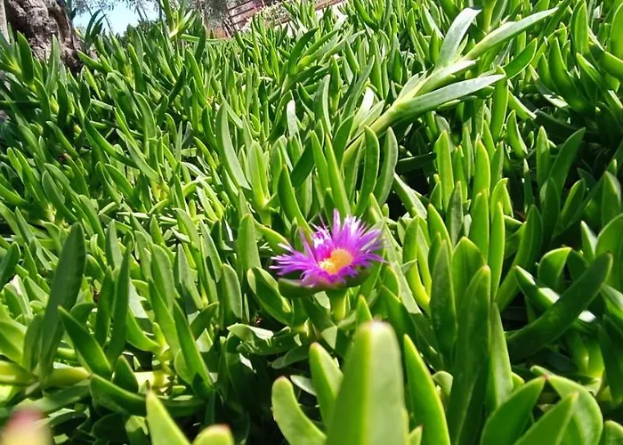 Nafplio Lodge Вилла